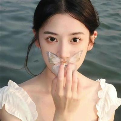 暮光之城：新月