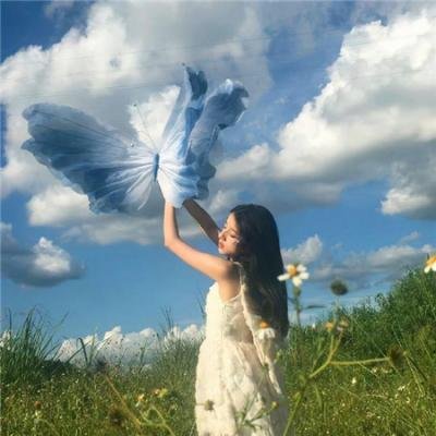 驯鹿大冒险：超越北极光
